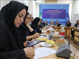 نشست خبری پنجمین جشنواره بین‌المللی خلاقیت و نوآوری تبریز در هنرهای اسلامی و صنایع‌دستی (ارسیکا) برگزار شد